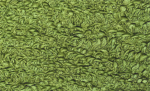 Zoom of Javari Valley